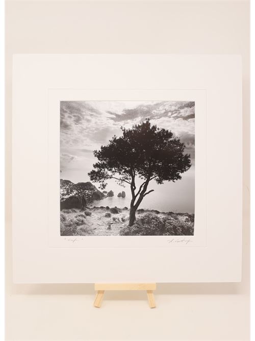 Photograph view of capri from Monte solaro Alessandro Catuogno | FARAGLIONIMONTESOLAROMONTESOLBN